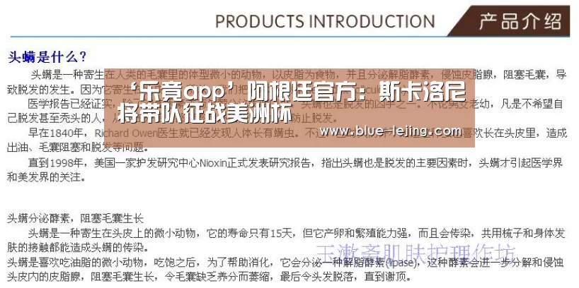 乐竟体育平台官网